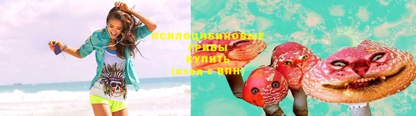 дурь Бородино