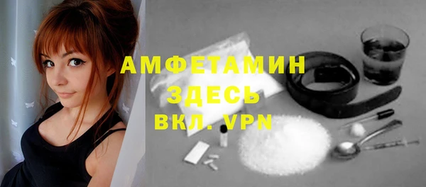 дурь Бородино