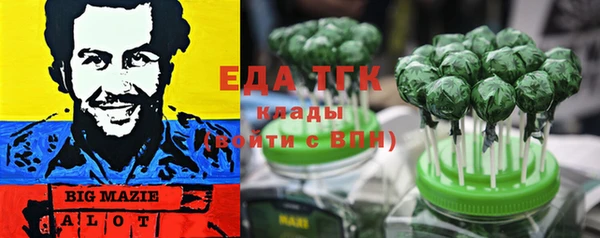 дурь Бородино