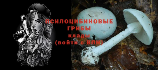 COCAINE Верея